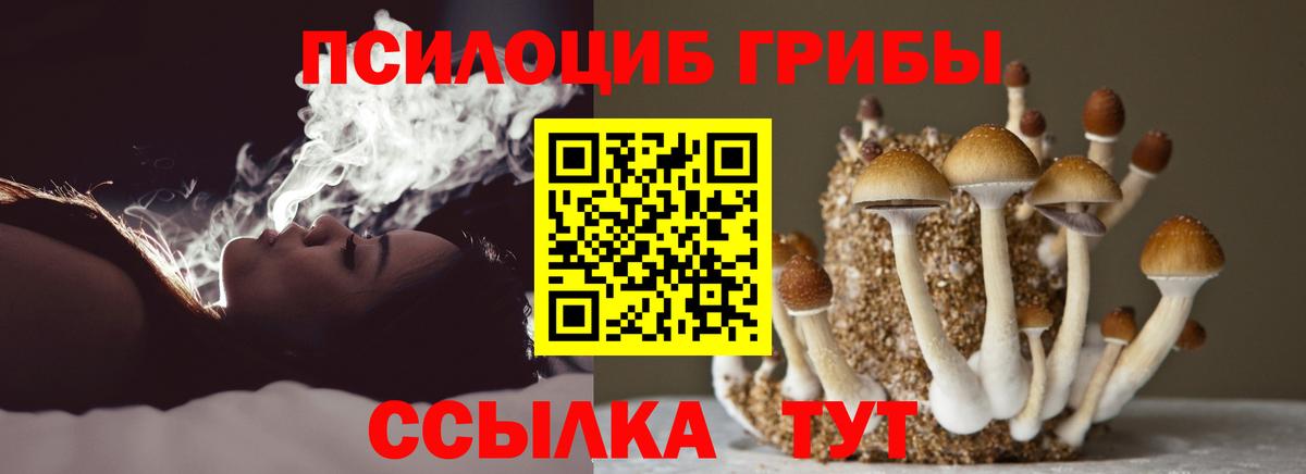Псилоцибиновые грибы ЛСД  Галлюциногенные грибы мухоморы  Вход с VPN  цена наркотик  Куйбышев 